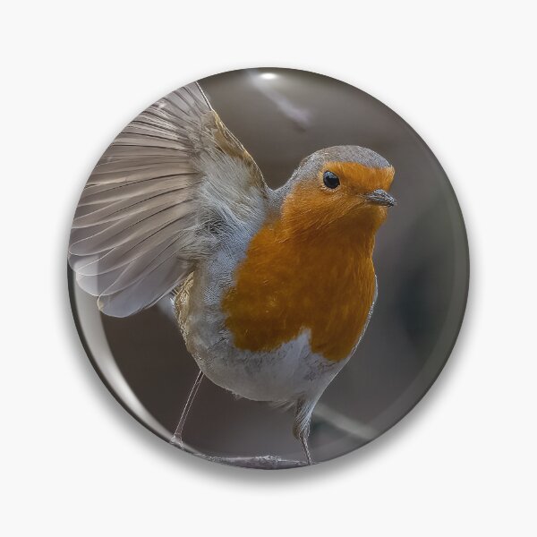 Item preview, Robin take off designed and sold by AliMarleyPhoto.