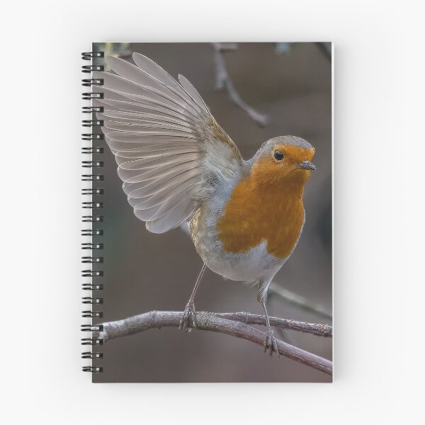 Item preview, Robin take off designed and sold by AliMarleyPhoto.