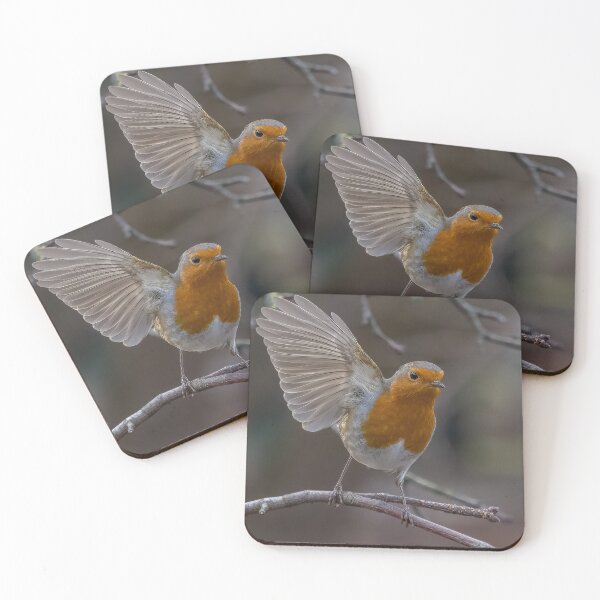 Item preview, Robin take off designed and sold by AliMarleyPhoto.