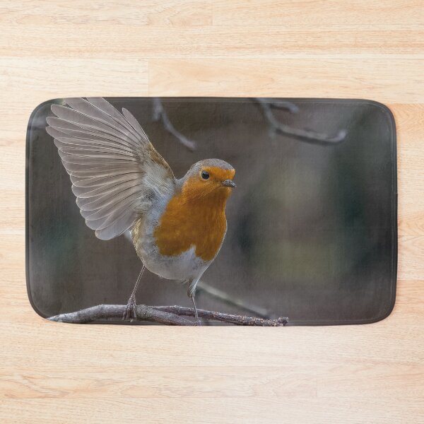 Item preview, Robin take off designed and sold by AliMarleyPhoto.