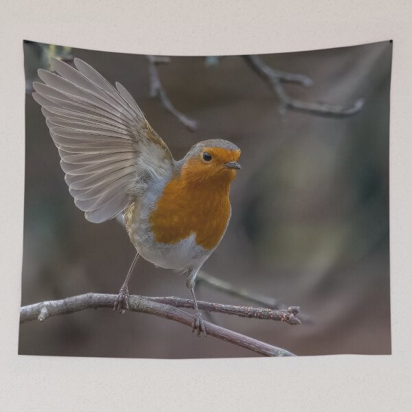 Item preview, Robin take off designed and sold by AliMarleyPhoto.