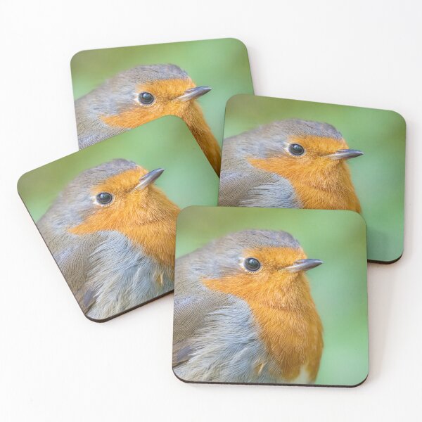 Artikelvorschau, Robin close up entworfen und verkauft von AliMarleyPhoto.
