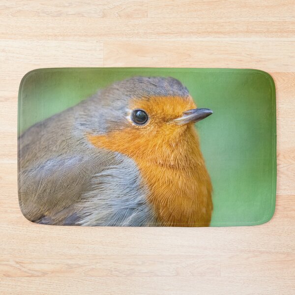 Item preview, Robin close up designed and sold by AliMarleyPhoto.
