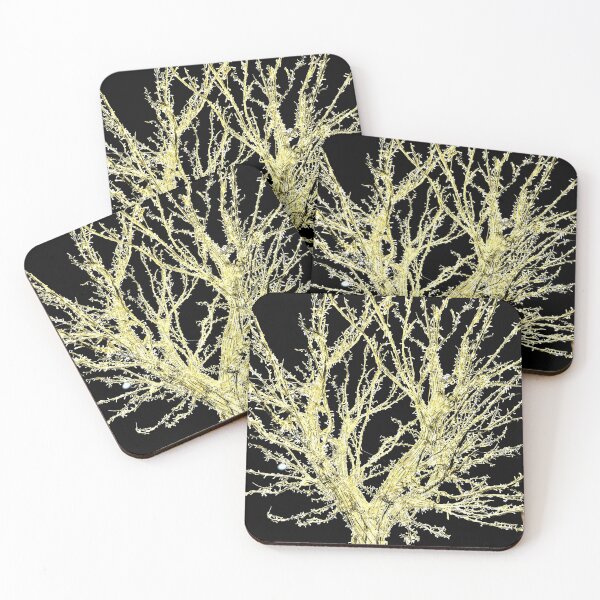 Item preview, Lucca Light Tree designed and sold by BreeFarinaPhoto.