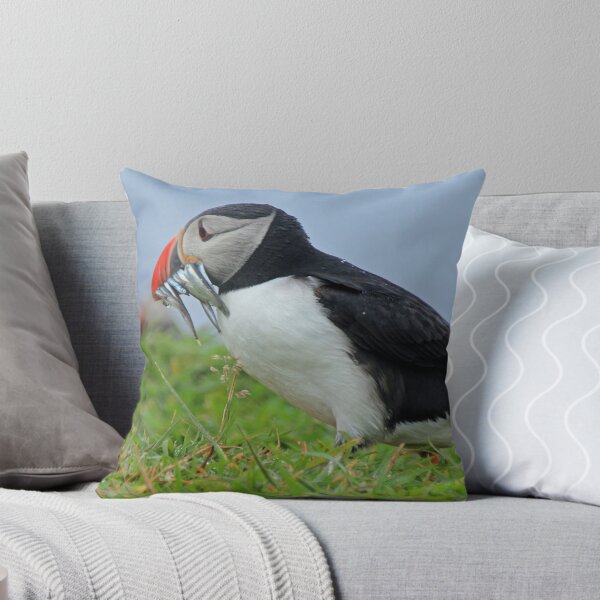 Item preview, Peckish puffin designed and sold by Fiona MacNab.