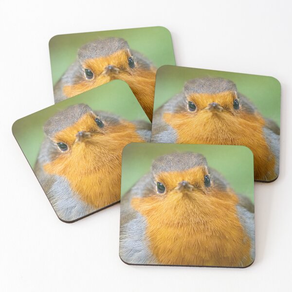 Item preview, Robin close up designed and sold by AliMarleyPhoto.