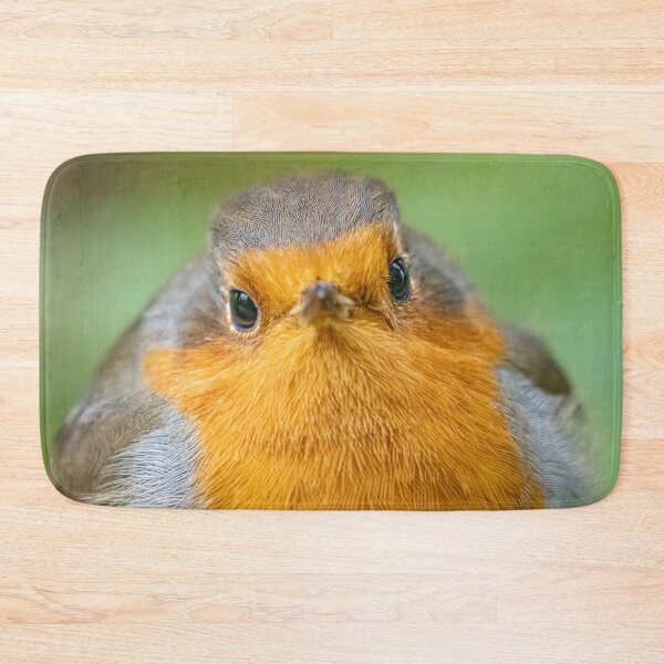 Item preview, Robin close up designed and sold by AliMarleyPhoto.