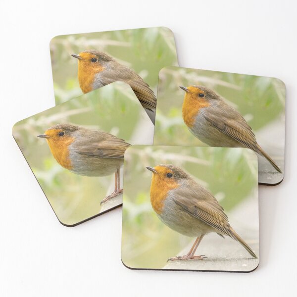 Artikelvorschau, Robin red breast entworfen und verkauft von AliMarleyPhoto.