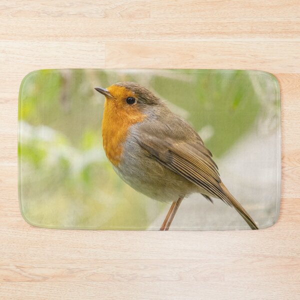Item preview, Robin red breast designed and sold by AliMarleyPhoto.