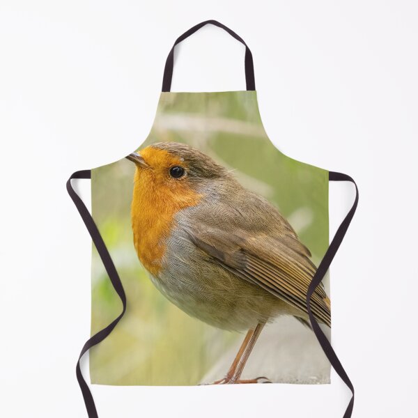 Item preview, Robin red breast designed and sold by AliMarleyPhoto.