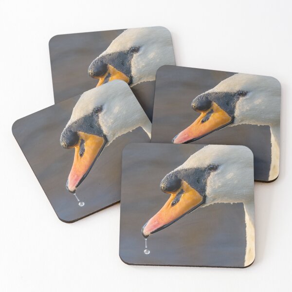 Artikelvorschau, swan close up entworfen und verkauft von AliMarleyPhoto.