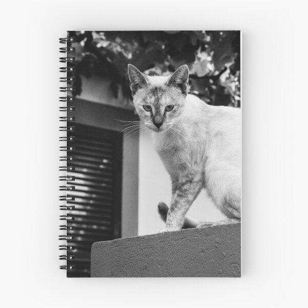 Item preview, The Madeiran Cat designed and sold by grantsykes.
