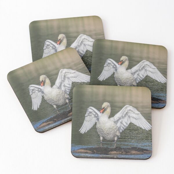 Artikelvorschau, swan wings entworfen und verkauft von AliMarleyPhoto.