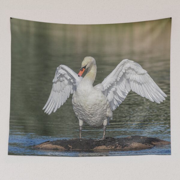 Item preview, swan wings designed and sold by AliMarleyPhoto.
