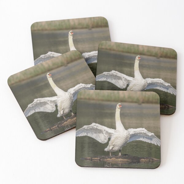 Item preview, Swan wings designed and sold by AliMarleyPhoto.