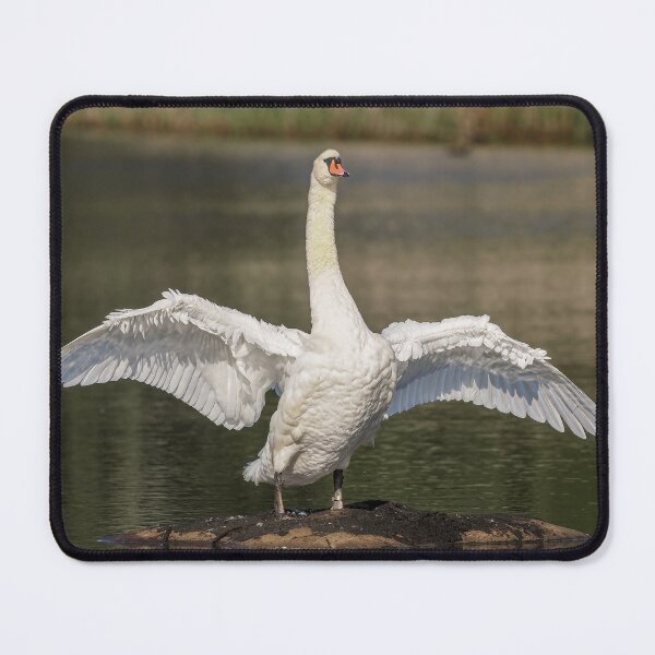 Item preview, Swan wings designed and sold by AliMarleyPhoto.