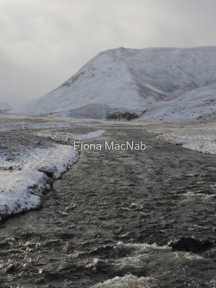Winter river by orcadia