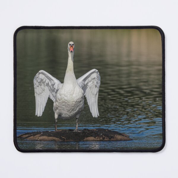 Item preview, Swan wings designed and sold by AliMarleyPhoto.