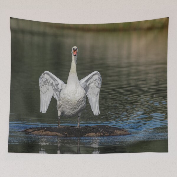 Item preview, Swan wings designed and sold by AliMarleyPhoto.