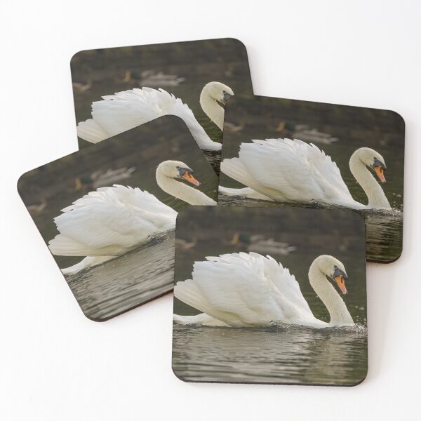 Item preview, Swan designed and sold by AliMarleyPhoto.