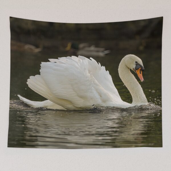Item preview, Swan designed and sold by AliMarleyPhoto.