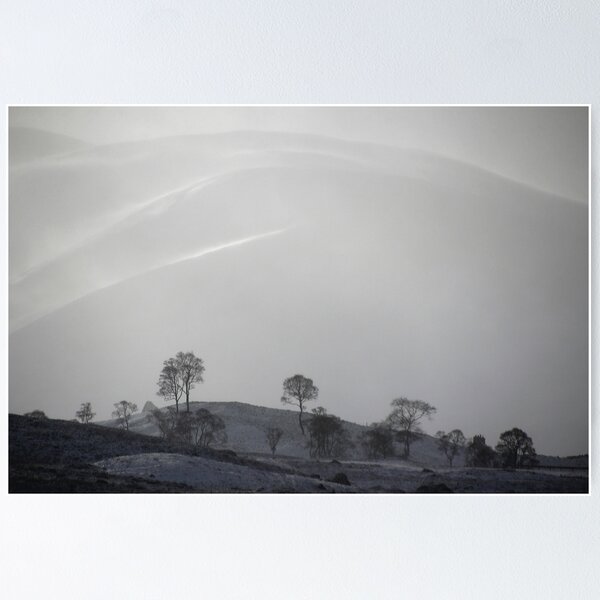 Item preview, White designed and sold by Fiona MacNab.