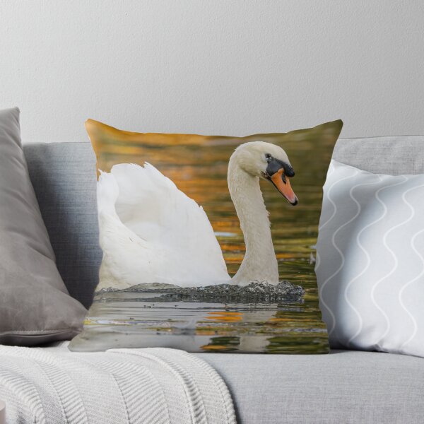 Aperçu de l'œuvre Swan créée et vendue par AliMarleyPhoto.