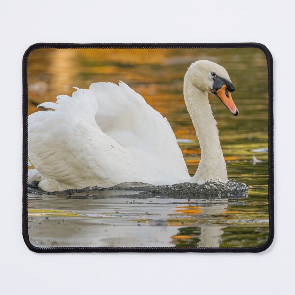 Item preview, Swan designed and sold by AliMarleyPhoto.