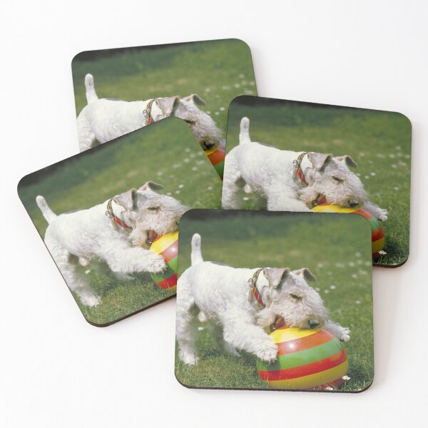 Item preview, Wire-haired Fox Terrier WIth Colorful Ball on the grass designed and sold by ScienceSource.