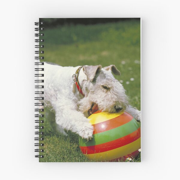 Item preview, Wire-haired Fox Terrier WIth Colorful Ball on the grass designed and sold by ScienceSource.