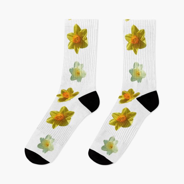 Item preview, Daffodil, jonquil, narcissus, real spring flowers, set 6 designed and sold by AnetteArt.