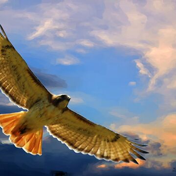 Artwork thumbnail, Soaring with the Clouds by michaelasamples