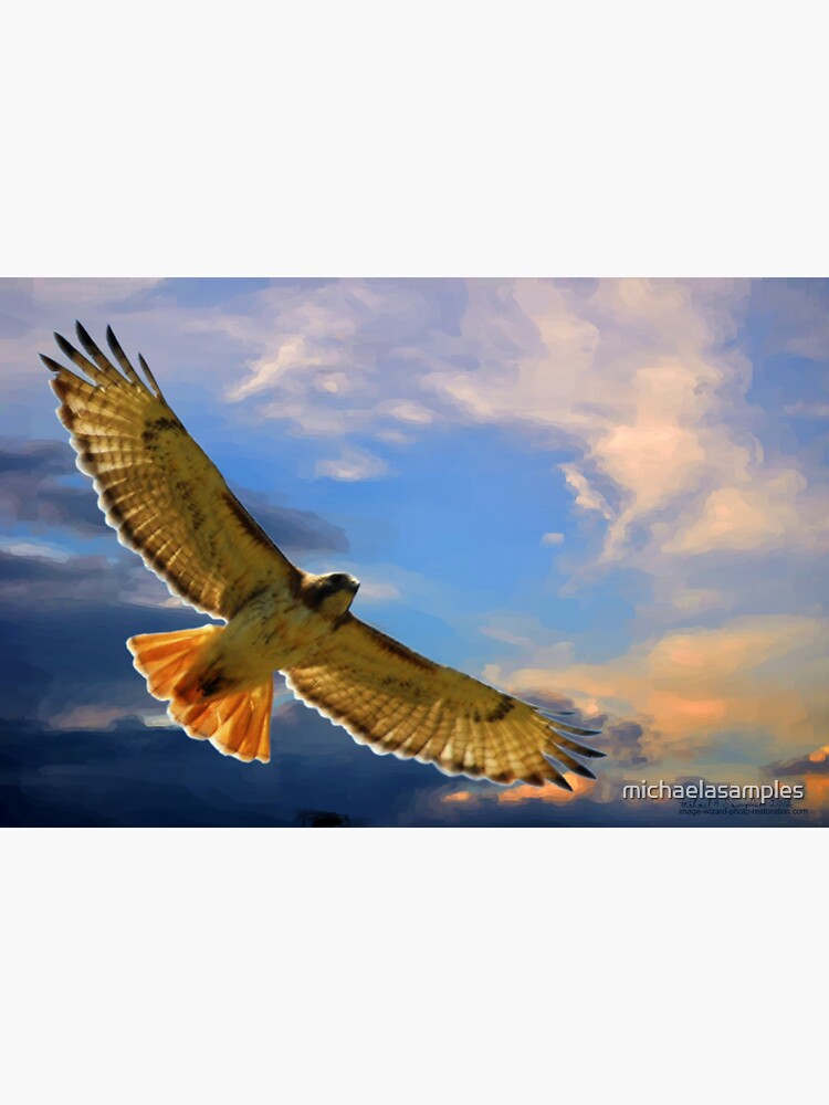 Thumbnail 3 of 3, Sticker, Soaring with the Clouds designed and sold by michaelasamples.