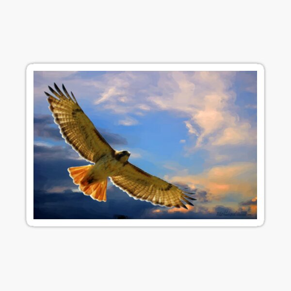 Soaring with the Clouds Sticker