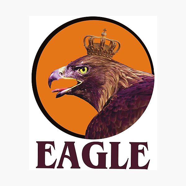 Eagle Crown Logo Template by Farahnaveed007 | Codester
