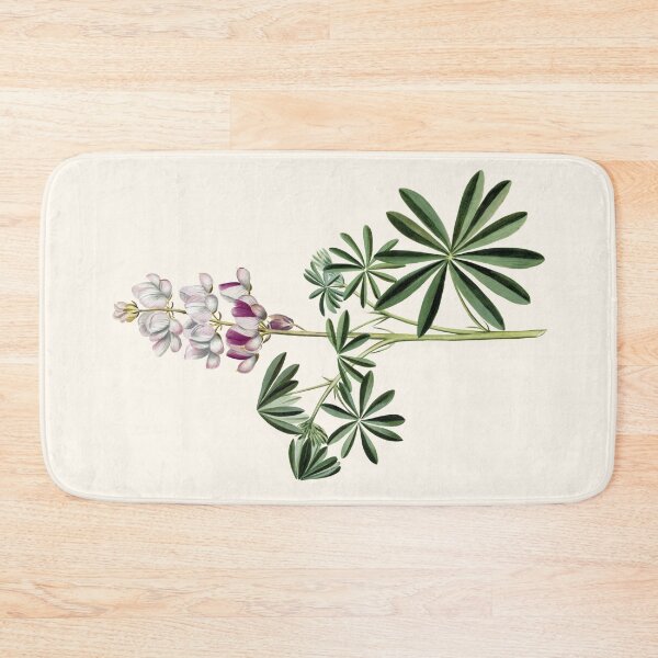 Item preview, Vintage Narrow-leaved Lupin (Lupinus angustifolius) Print | Alida Withoos designed and sold by LaMadeleine.