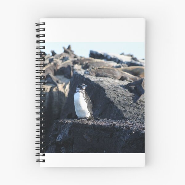 Item preview, Galapagos Penguin guarding Marine Iguanas designed and sold by SBPenguins.