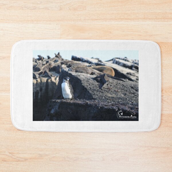 Item preview, Galapagos Penguin guarding Marine Iguanas designed and sold by SBPenguins.