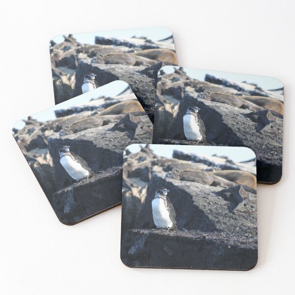 Item preview, Galapagos Penguin guarding Marine Iguanas designed and sold by SBPenguins.