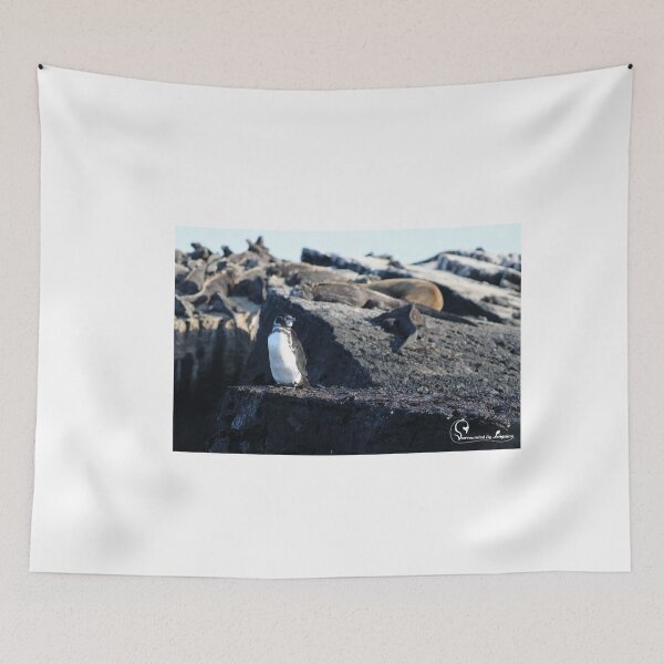 Item preview, Galapagos Penguin guarding Marine Iguanas designed and sold by SBPenguins.