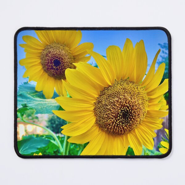Item preview, Sunflowers designed and sold by BreeFarinaPhoto.