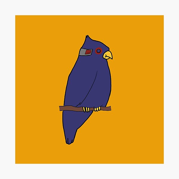 Falco Lombardi Photographic Print
