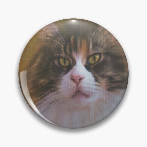 Item preview, Toffee designed and sold by 88 Jane.