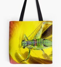 Colourful Katy Tote Bag