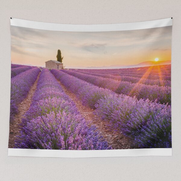 Item preview, Lavender designed and sold by EiE-Mishu.