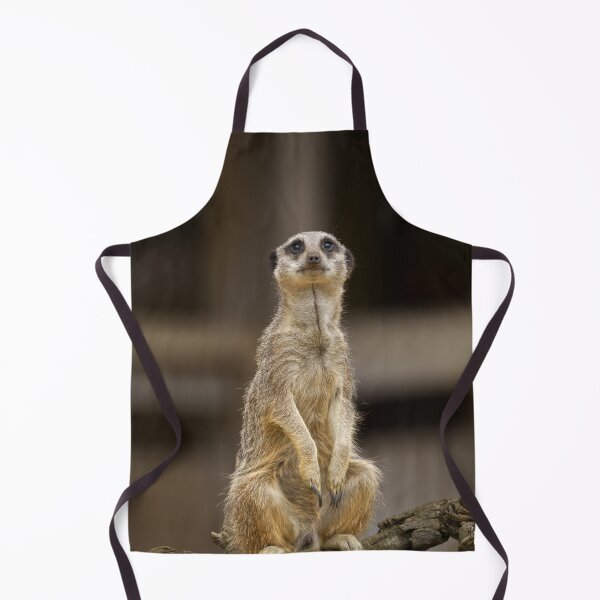 Item preview, Posing Meerkat designed and sold by rawshutterbug.
