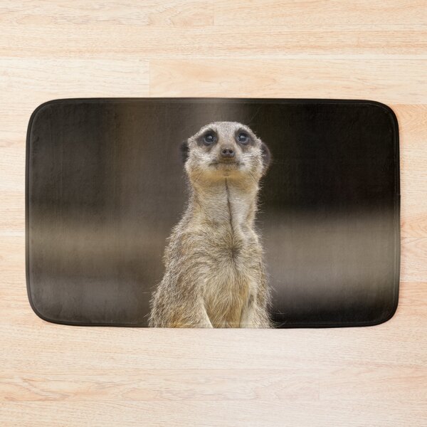 Item preview, Posing Meerkat designed and sold by rawshutterbug.