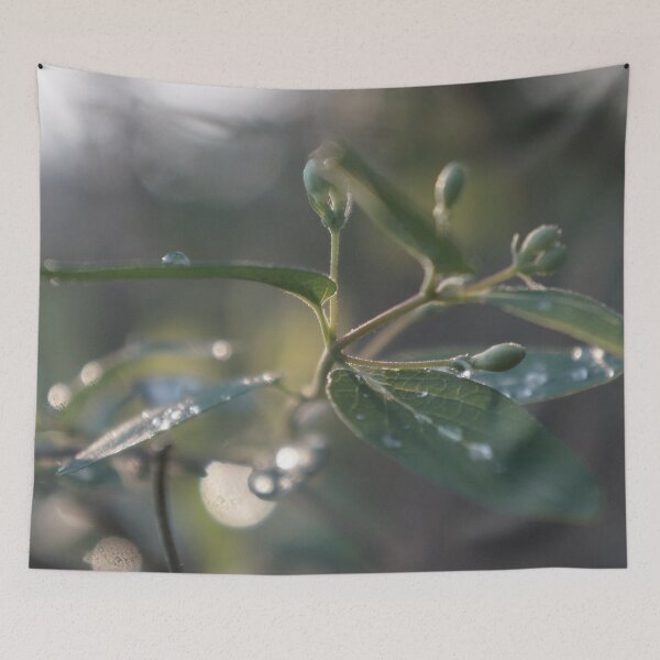 Item preview, Raindrops on Leaves in the Morning Light designed and sold by Nalinne Jones.