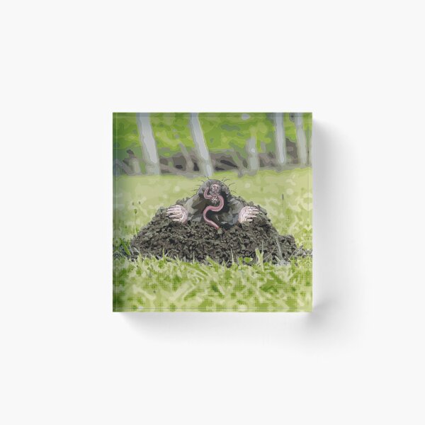 Item preview, Mole molehill by BeeFoxTree, mole illustration designed and sold by BeeFoxTree.