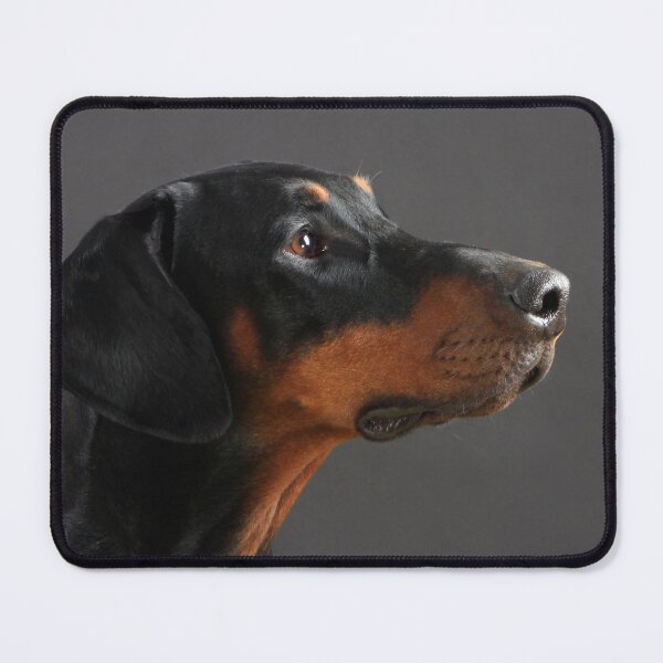 Item preview, Doberman Pinscher Portrait designed and sold by ScienceSource.